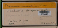 Image Associated With the Occurence